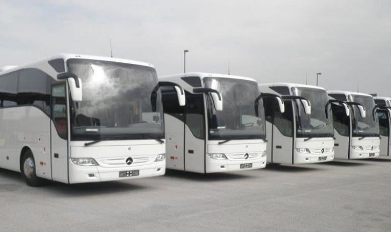 Moldova: Bus company in Edineț in Edineț and Romania