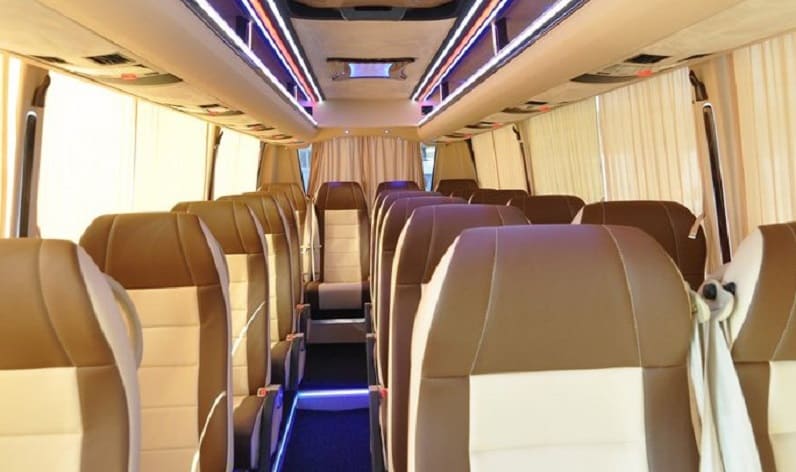 Romania: Coach reservation in Suceava County in Suceava County and Fălticeni